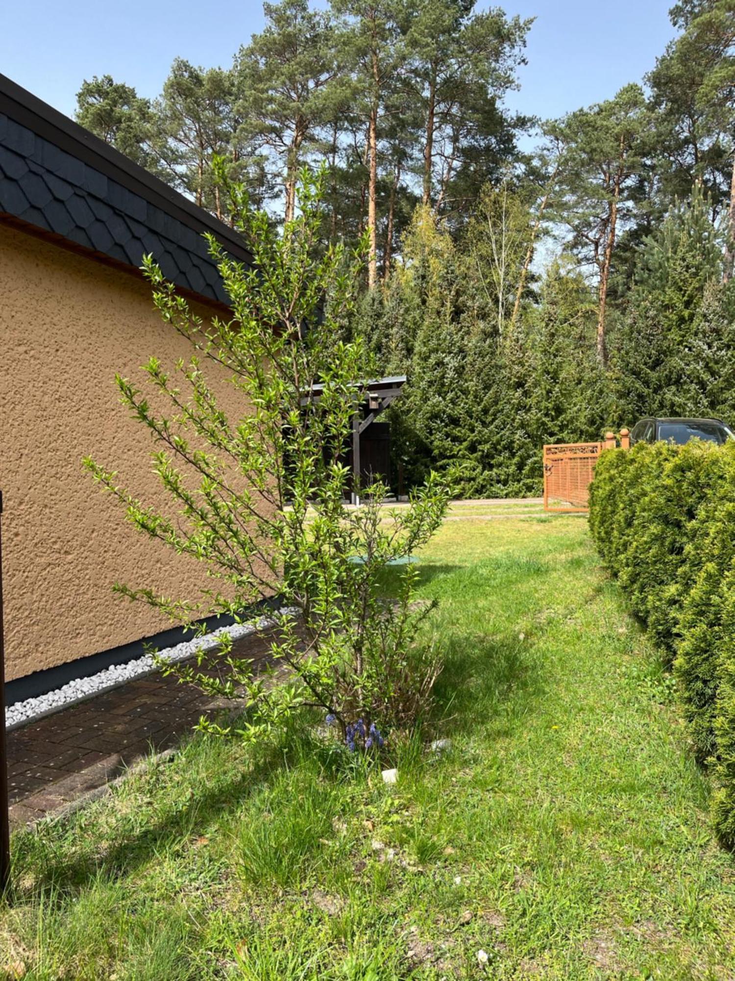 Ferienhaus Fjola Schenkendobern エクステリア 写真